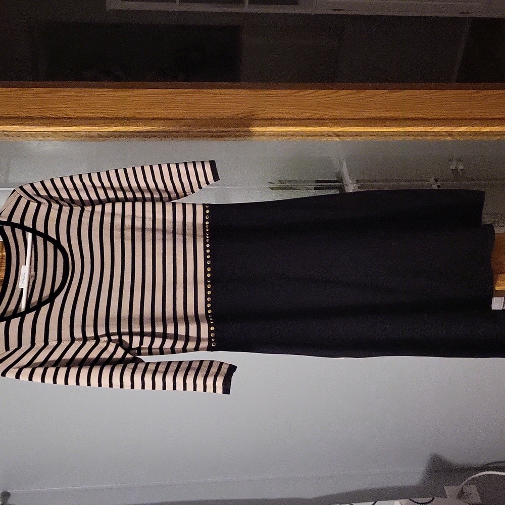 Calvin Klein Black and Tan Long Sleeve Dress